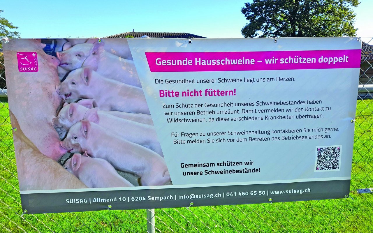 Ein Warnschild hängt am Zaun rund um den Schweinestall, der darauf hinweist, man solle die Schweine nicht füttern.