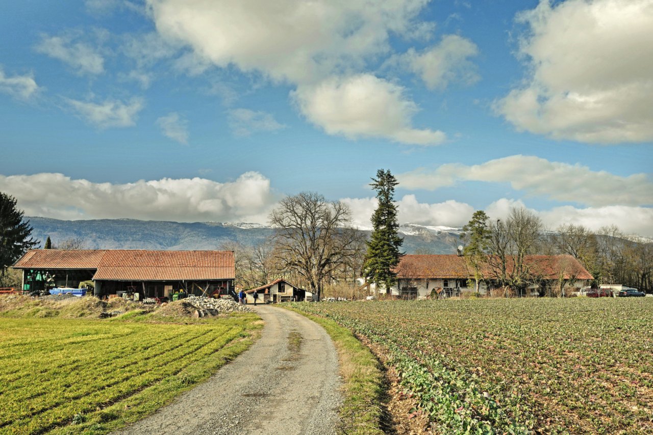 «la ferme» liegt in einer idyllischen, leicht hügeligen Landschaftin der Gemeinde Chancy direkt an der französischen Grenze. Bild: Laurent Guiraud