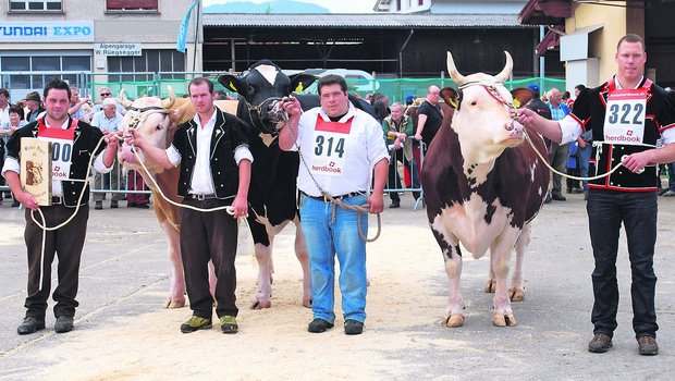Schwingerkönig Matthias Sempach (rechts) musste Abschied von seinem geliebten Siegermuni nehmen. Nach einem Zwischenfall, bei dem eine Person verletzt wurde, gehe nun die Sicherheit vor, sagte er.. (Archivbild Peter Fankhauser)