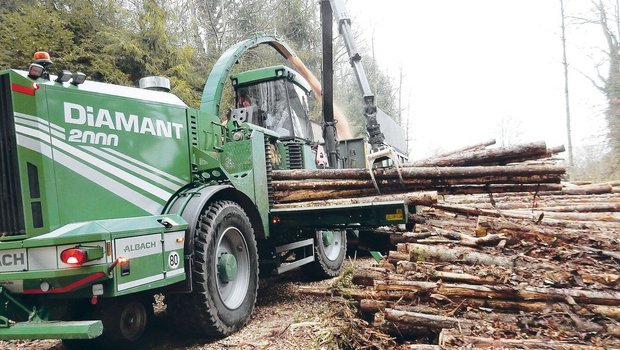 Hackschnitzelproduktion im Wald. Derzeit hat sich der Markt für Energieholz saisonal bedingt beruhigt. Die Nachfrage wird aber hoch bleiben.