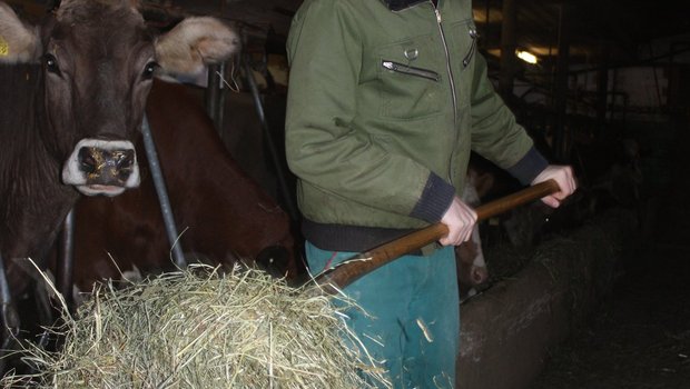 Christian Galliker aus Beromünster setzt auf produzierende Landwirtschaft.