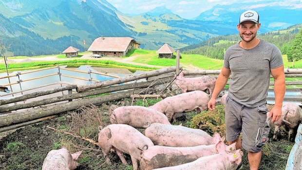 Stefan Eberli mit den Alpschweinen auf der Jänzimatt. Weil er auch Pflanzenkohle zur Geruchsreduktion einstreut, sind die Tiere teils schwarz gefärbt. 