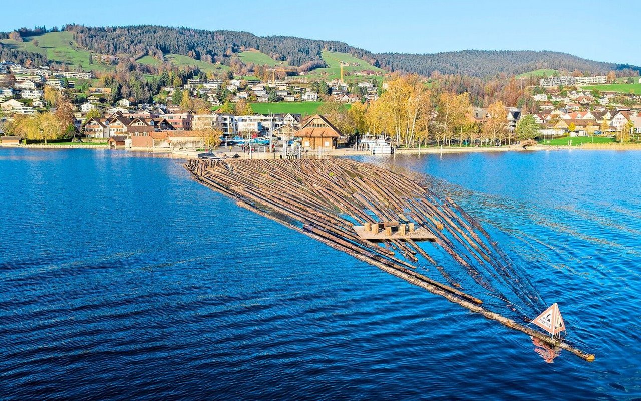 Ankunft des Floss aus den vielen Stämmen, mit einem Rahmen zusammengehalten, im Ägeriseee. 