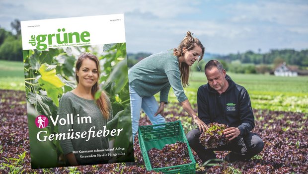 «die grüne» im Juni 2020 – u.a. mit einer Geschäftsführerin im Gemüsefieber Vom Gemüseanbau über Melkroboter zu Halmverkürzer - die Themen in der neuen Ausgabe sind vielfältig. (Bild DG)