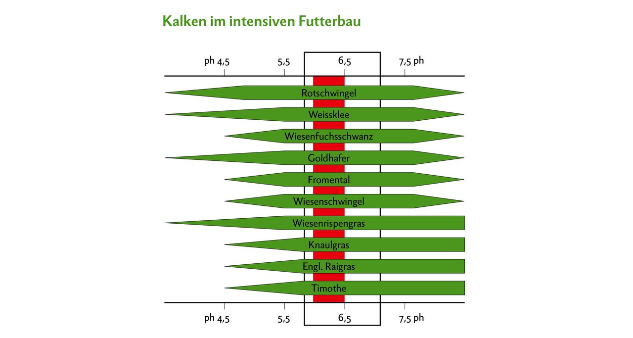 In Naturwiesen liegt der angestrebte pH-Wert zwischen 5.8 und 7.0. Tiefere pH-Werte schränken besonders den intensiven Futterbau ein. Grafik: Doris Rubin