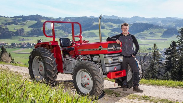 Der Massey Ferguson 135 ist der Traumtraktor von Christian Eggimann aus Rüderswil BE. (Bild: «die grüne» / Pia Neuenschwander)