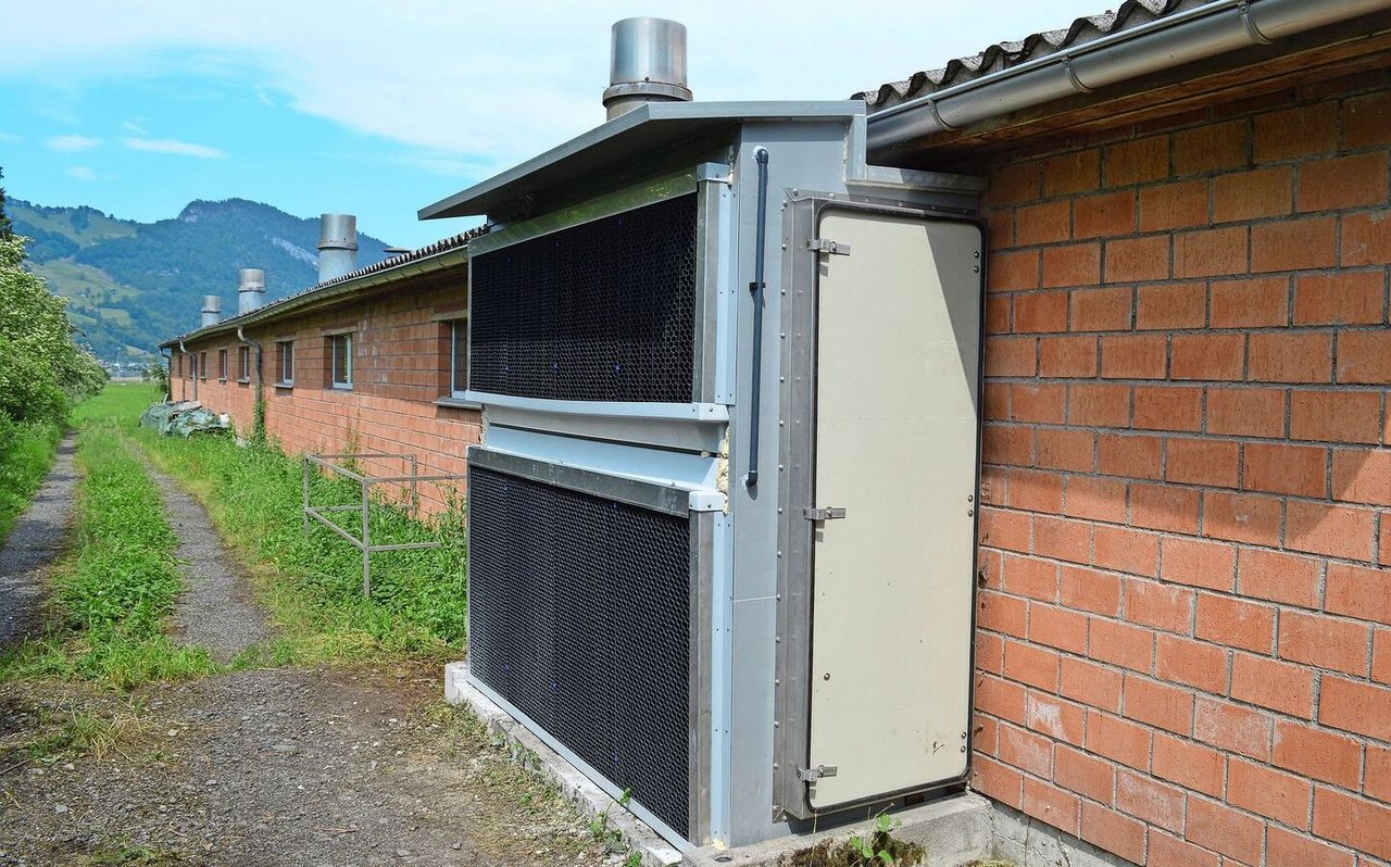 Die wabenförmigen Zellulosewände der Kühlpads werden mit kaltem Wasser berieselt. Auf dem Weg in den Stall strömt die Zuluft hindurch und wird abgekühlt.
