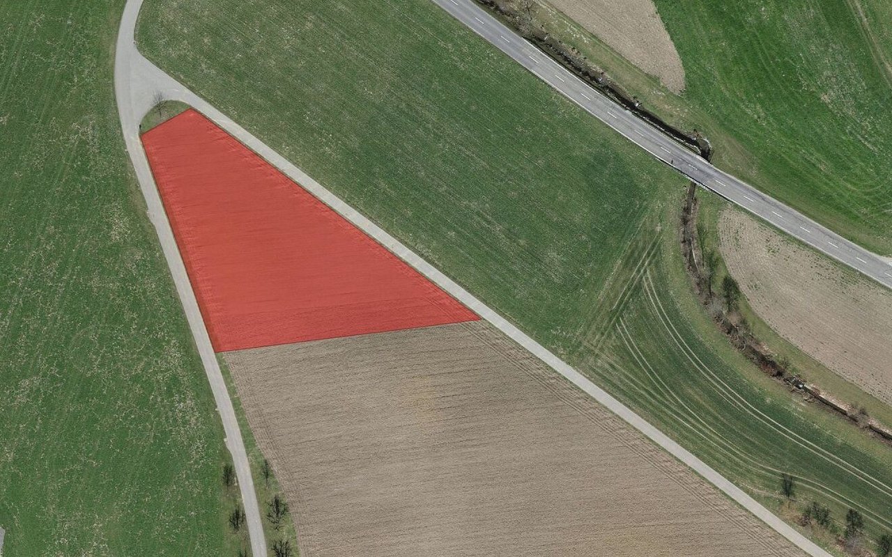 Mit der Buntbrache können unpraktische Ecken genutzt und Parzellen begradigt werden.