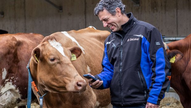 Der Melkroboter DeLaval VMS V310 erkennt während des Melkens Brunst und Trächtigkeit. Bild: Pia Neuenschwander