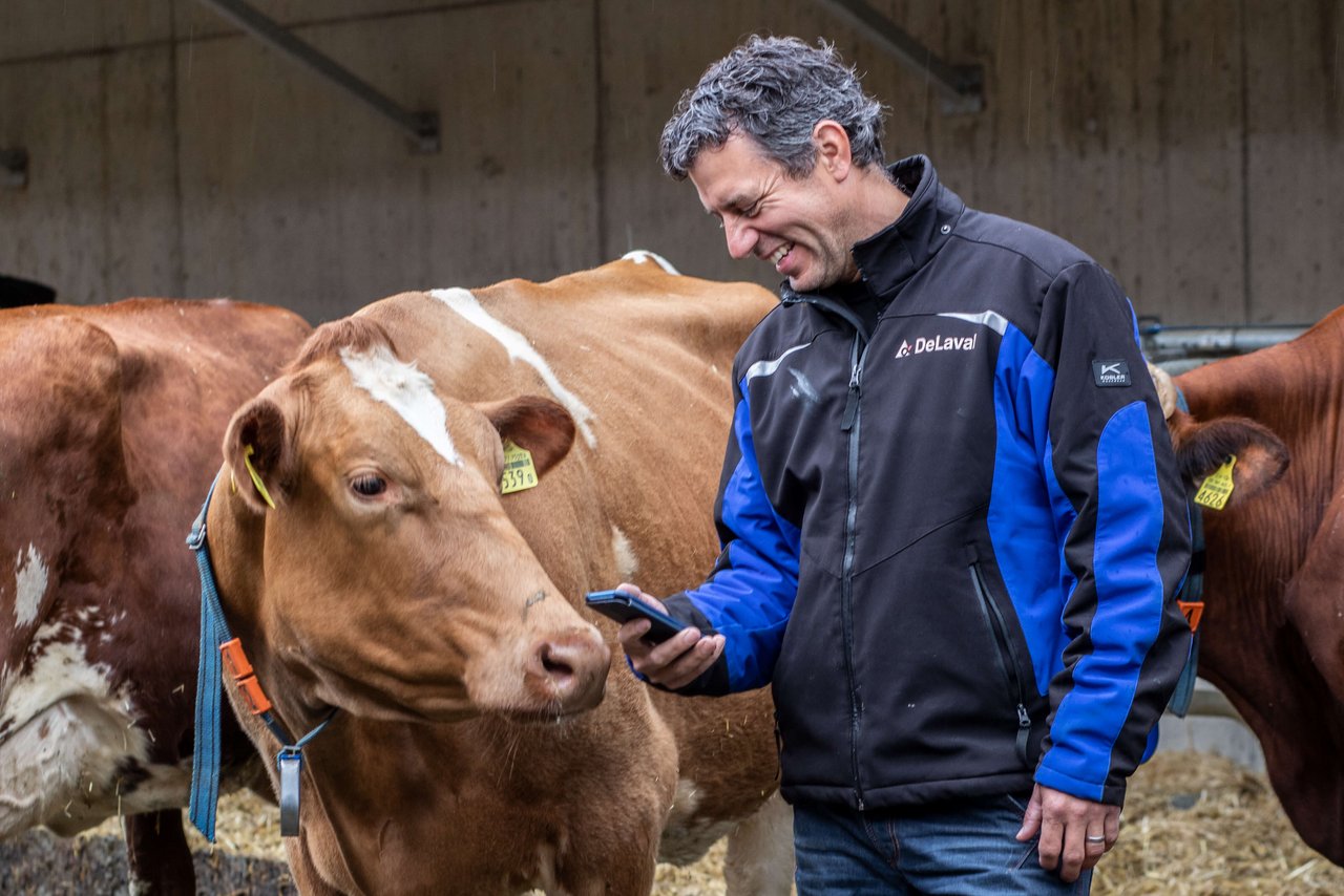 Der Melkroboter DeLaval VMS V310 erkennt während des Melkens Brunst und Trächtigkeit. Bild: Pia Neuenschwander