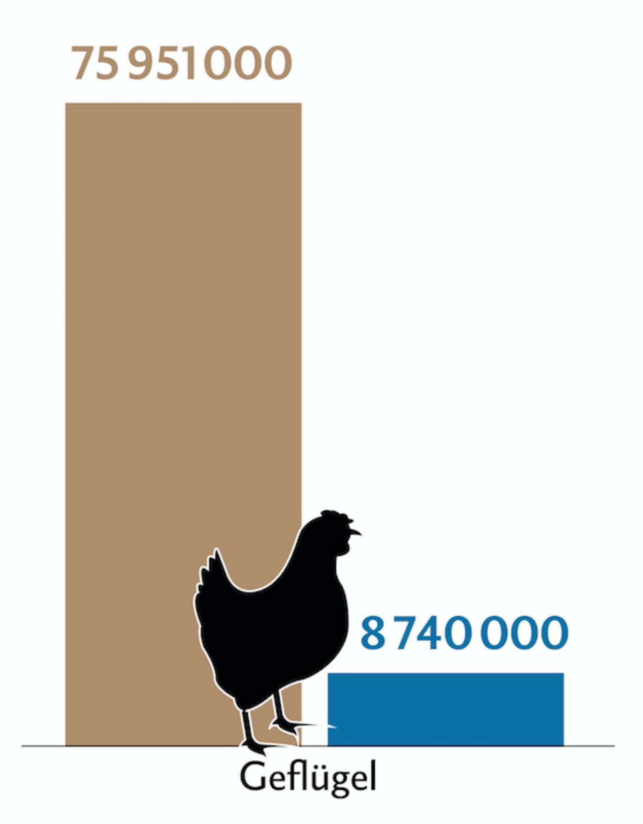 Balkendiagramm zeigt die Tierzahlen (braun) und Behandlungszahlen (blau) des Geflügels in der Schweiz.