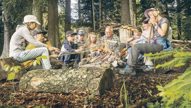 Aufenthalte im Wald sind beliebt, beispielsweise für ein Picknick. Erwartet wird aber mehr Rücksicht. 