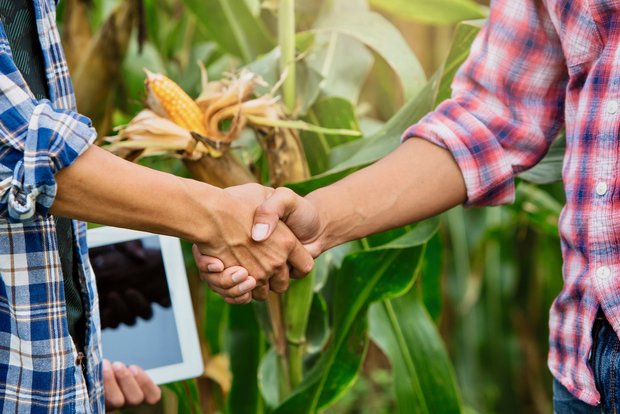 «Hand in Hand» in der Landwirtschaft heisst das Jahresthema 2021 vom Fachmagazin «die grüne». (Bild: Adobe Stock)