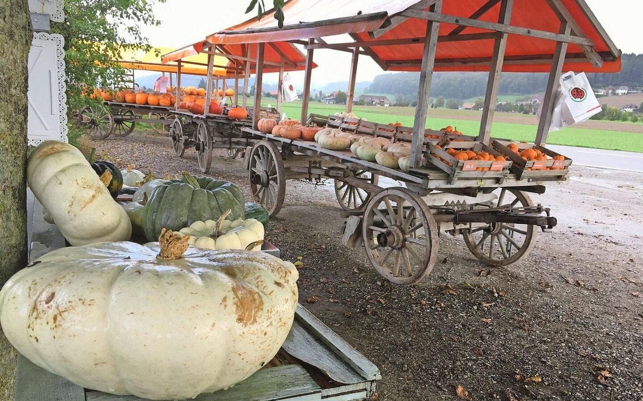 Besonders im Herbst