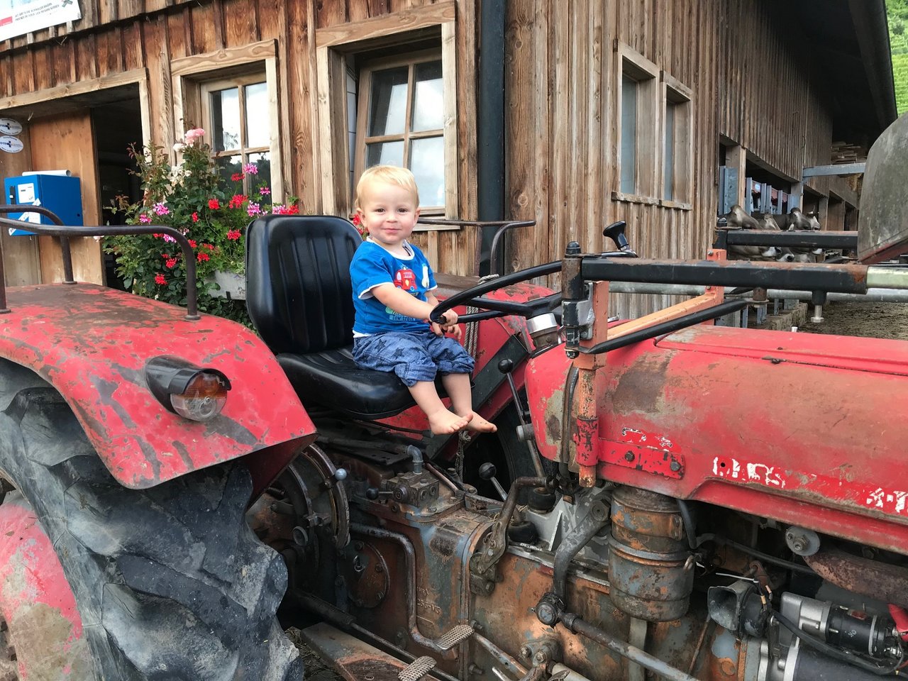  Stolzer Traktorfahrer Timo - Bild eingesendet von Claudia Tschudin