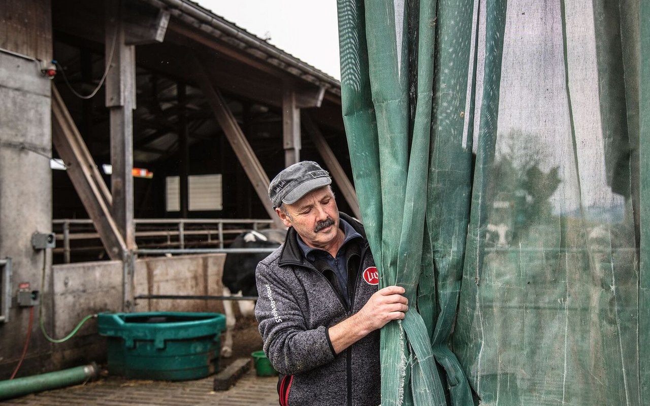 Hansueli Lüscher rollt das Netz aus, das als Windschutz vor dem Laufhof dient.