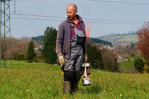 Mit Ringlifallen gegen Schermäuse Deshalb verstopften die Drainagen regelmässig. Bild: Martina Rüegger