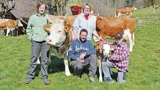 Philipp und Marlen Hertig und ihre Kinder Janine und Felix lieben ihre Kühe. Hier präsentieren sie die reine Simmentalerkuh Burlan Blüemli mit ihrem Kalb Mario Oklahoma. «Ohne Kühe – unvorstellbar. Wir sind zu gerne Züchter», so der Tenor.(Bilder Peter Fankhauser)