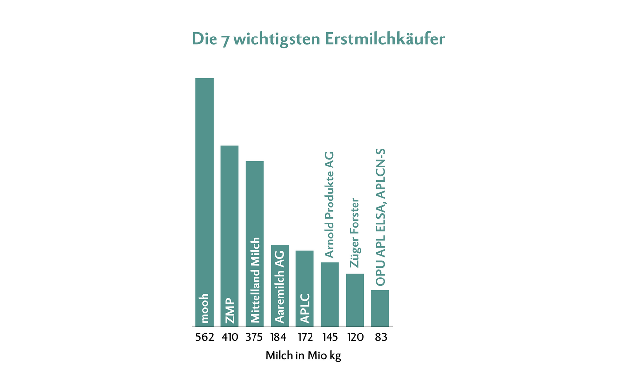 Infografik zeigt die 8 wichtigsten Erstmilchkäufer.