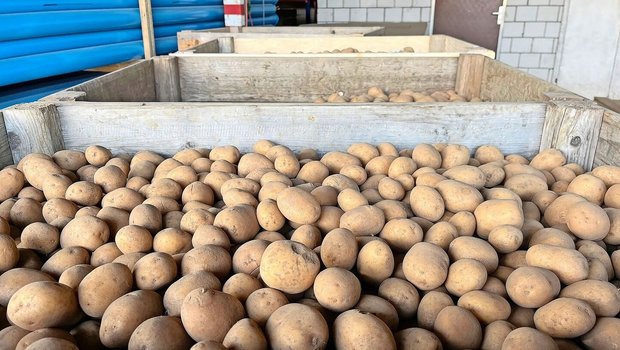 Gebinde besitzen oder mieten? Nach diesem Jahr der Knappheit und der Improvisation werden sich so manche Produzenten die Frage stellen, wofür sie sich nächste Saison entscheiden werden.