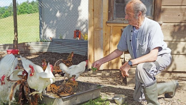 Der 82-jährige Werner füttert die Hühner und Enten. Er lebt seit drei Jahren in der Wohngemeinschaft Aemisegg im Toggenburg SG, vorher hat er allein einen kleinen Betrieb geführt. Der 82-jährige Werner füttert die Hühner und Enten. Er lebt seit drei Jahren in der Wohngemeinschaft Aemisegg im Toggenburg SG, vorher hat er allein einen kleinen Betrieb geführt.