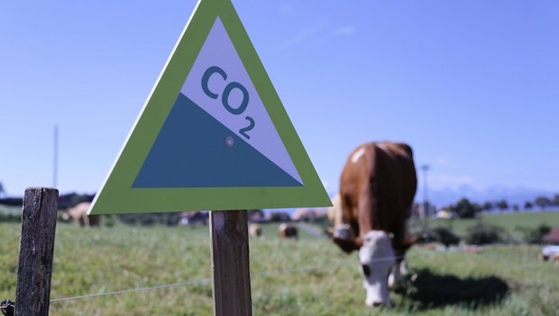 Die Lebtagleistung der Kühe soll steigern und damit der Methanausstoss pro Kilo Milch sinken. (Bild ji) 