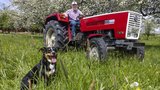 Der Steyr 650 ist Urs Schärs Traumtraktor. (Bild: «die grüne» / Gian Vaitl)