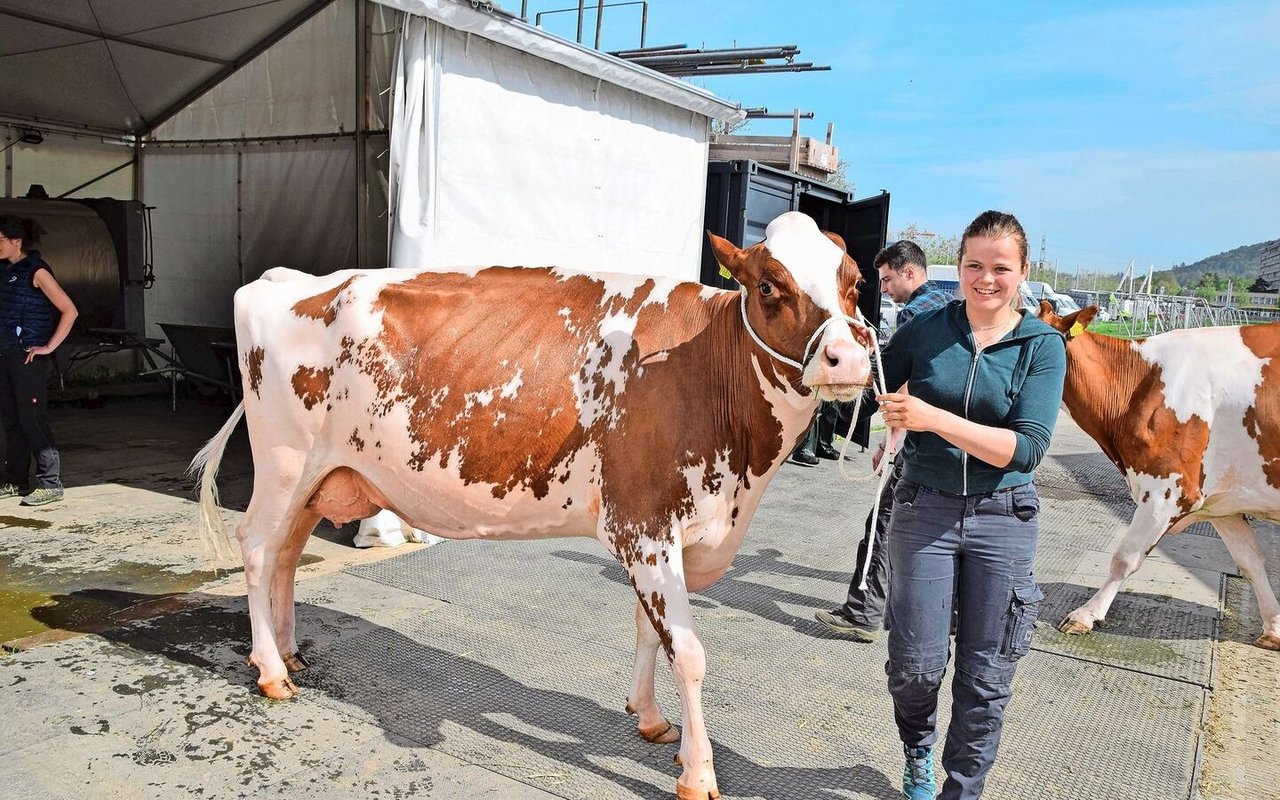 Fabienne Gfeller aus Schangnau mit ihrer schönen Apple Pie-Tochter Liberty. Die Kuh ist jetzt frisch in die vierte Laktation gestartet und wurde diesen Frühling mit 55 55 98 punktiert.