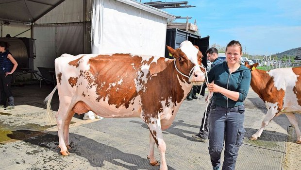 Fabienne Gfeller aus Schangnau mit ihrer schönen Apple Pie-Tochter Liberty. Die Kuh ist jetzt frisch in die vierte Laktation gestartet und wurde diesen Frühling mit 55 55 98 punktiert.