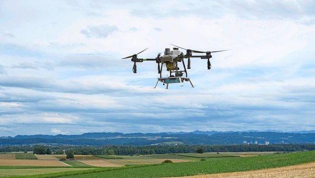 Die Drohne fliegt mit einem Abstand von 2 bis 3 Metern übers Feld. Die Flüge führen die Agrarpiloten aus.