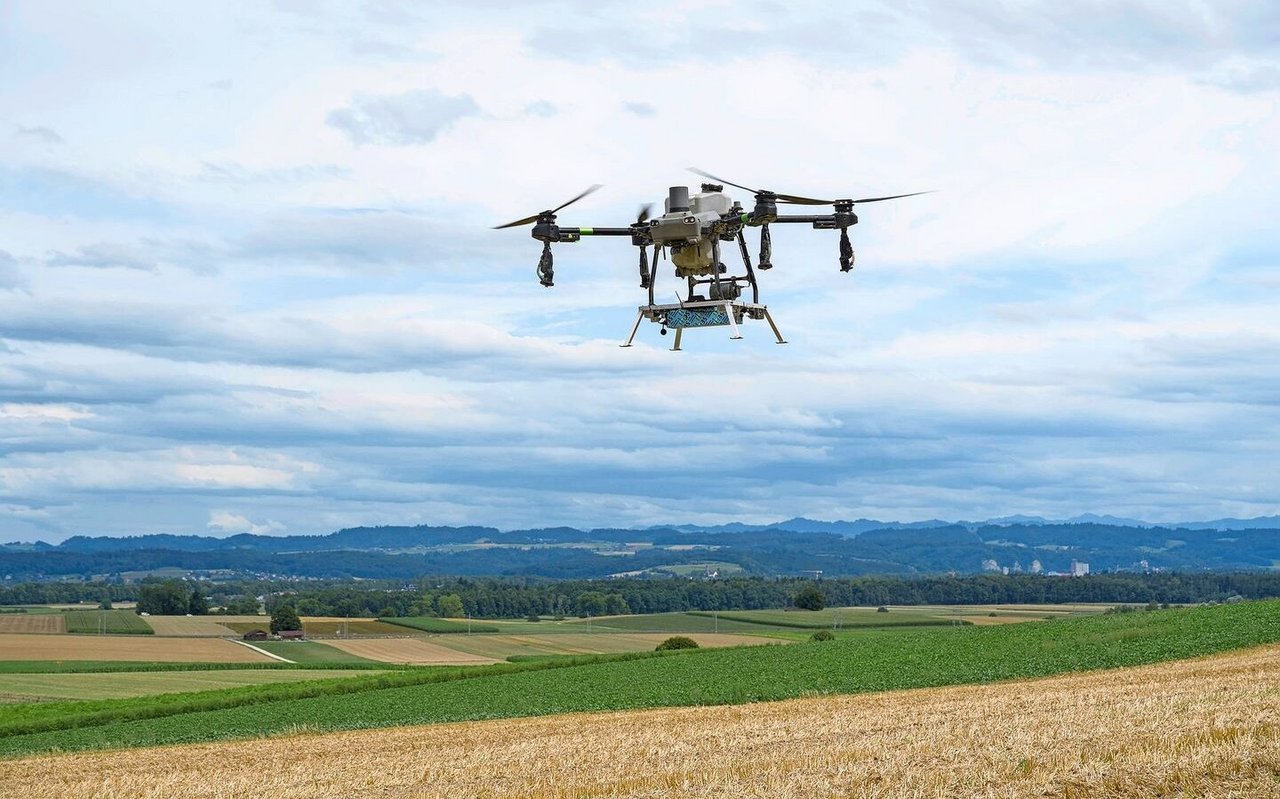 Die Drohne fliegt mit einem Abstand von 2 bis 3 Metern übers Feld. Die Flüge führen die Agrarpiloten aus.