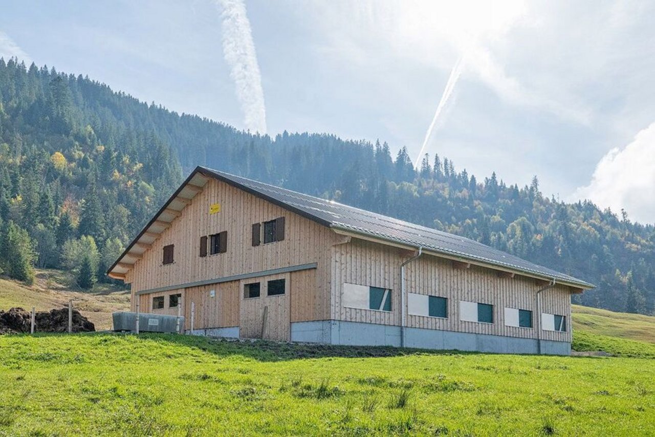 Mit Holz aus den eigenen Waldflächen einen betrieblichen Bau zu realisieren, ist für viele LandwirtInnen ein schöner Gedanke. Doch die Logistik muss passen.