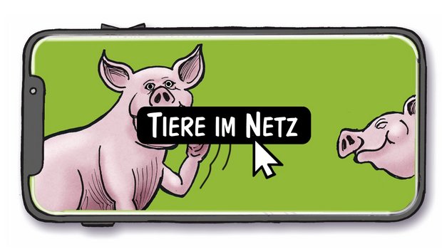 Tiere für den Livestream nutzen – Cartoon von Marco Ratschiller/Karma