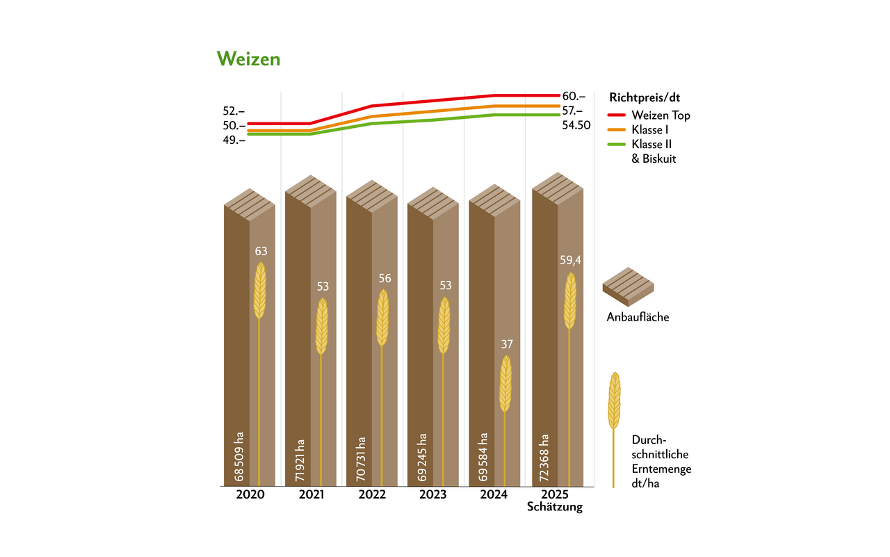 Die Preise blieben 2025 unverändert zum Vorjahr, die Anbaufläche nahm um ca. 3000 ha zu. Die Erträge lagen mit 59,4 dt/ha über dem Fünfjahresschnitt.