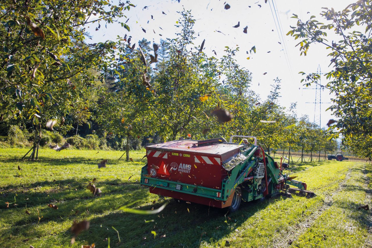 Die R17-Nuss-Erntemaschine aus Grenoble in vollem Einsatz. Ein Separator bläst das mit den Nüssen aufgelesene Laub nach draussen. Bild: Gian Vaitl