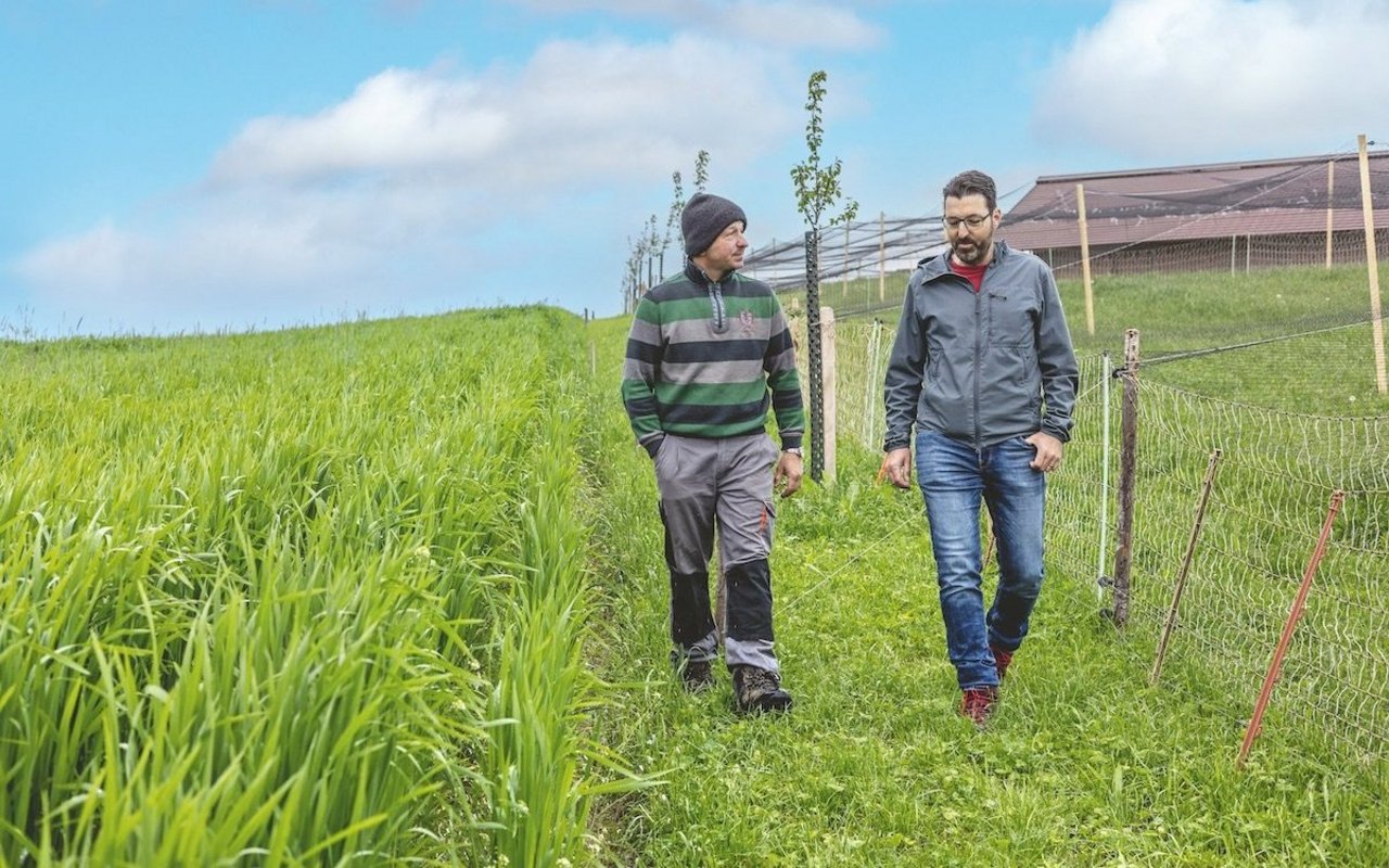 Matthias Roggli (links) und Michel Bhend vom Fonds Landschaft Schweiz bei einer Begehung der Agroforstanlage in Mamishaus BE.