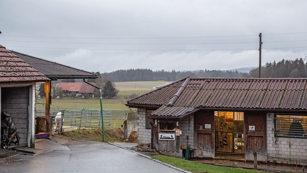 Die Rufer Ranch hat verschiedene Aufstallungs-Systeme. Im Gebäude rechts sind drei Auslaufboxen, links ist ein Teil des Auslaufes des Kleingruppen-Stalls zu sehen. (Bilder Pia Neuenschwander)