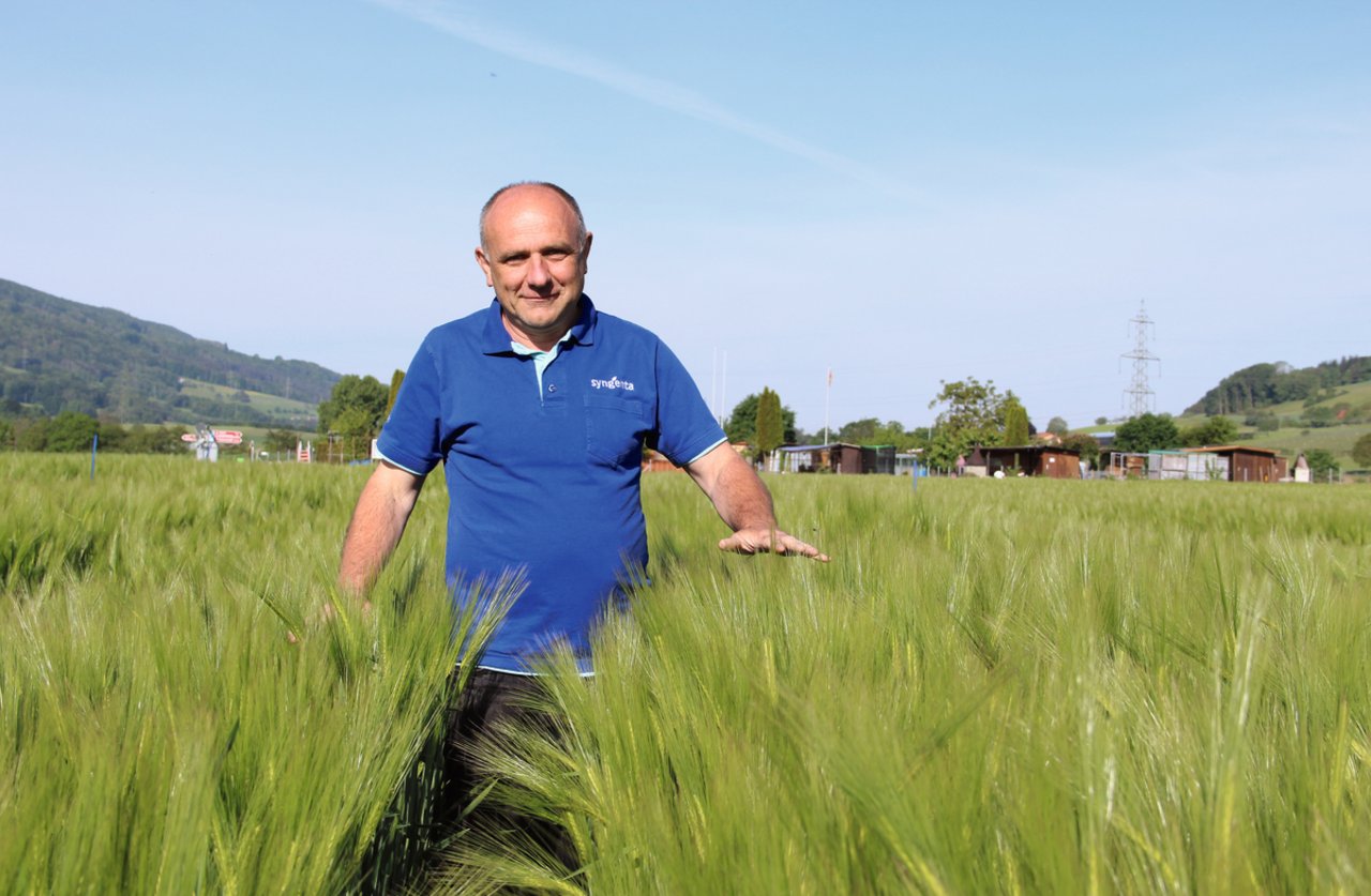 Joel Meier, Leiter Feldversuche bei Syngenta, ist in seinem Element: Die Gerstenversuche wurden unterschiedlich stark verkürzt. «Ich empfehle auch den Landwirten, Spritzfenster als Erfolgskontrollen anzulegen», sagt Joel Meier. Bild: Sebastian Hagenbuch