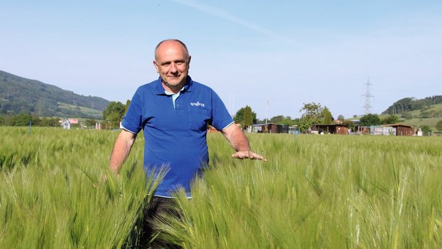 Joel Meier, Leiter Feldversuche bei Syngenta, ist in seinem Element: Die Gerstenversuche wurden unterschiedlich stark verkürzt. «Ich empfehle auch den Landwirten, Spritzfenster als Erfolgskontrollen anzulegen», sagt Joel Meier. Bild: Sebastian Hagenbuch