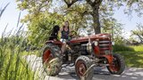 Der Hürlimann D70 SSP von Karin Kneubühl aus Rapperswil BE (Bild: «die grüne» / Pia Neuenschwander)