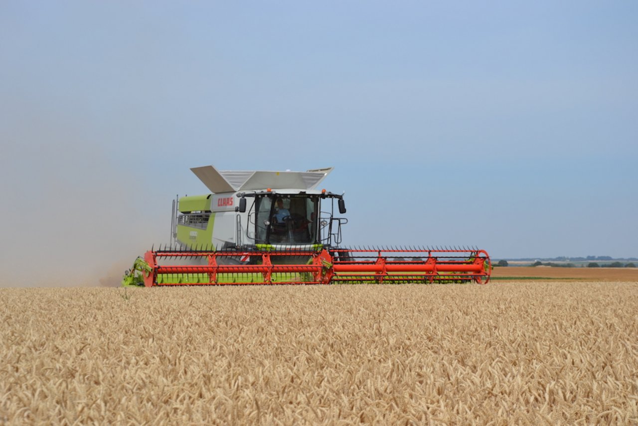 Der Lexion 6900 ist mit dem neuen Schüttler-Dreschwerk ausgerüstet. Eine zusätzliche Abscheidetrommel sorgt für den Leistungssprung. Bild: zVg