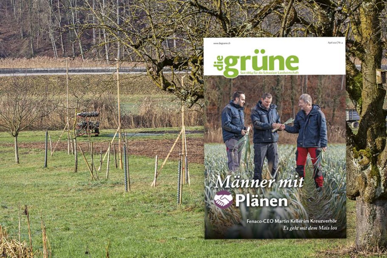Das April Heft von «die grüne» behandelt unter anderem das Thema Maisanbau vertieft. (Bild DG)
