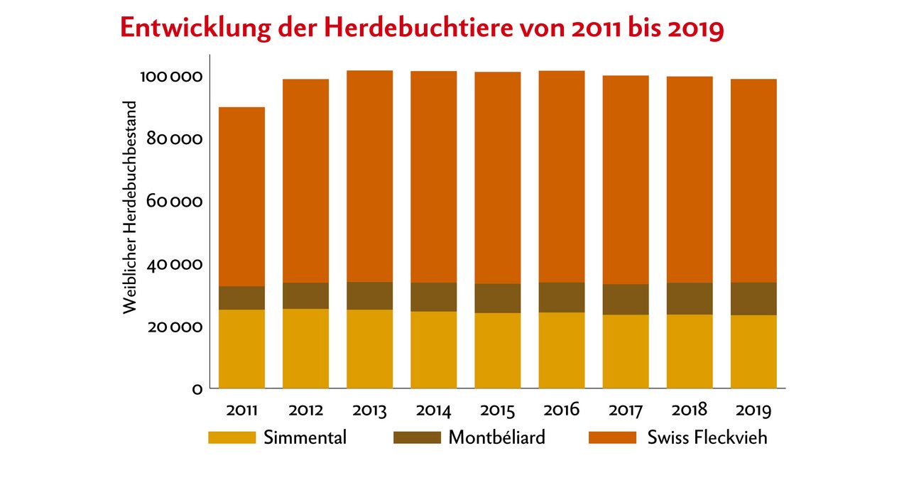 Der Herdebuchbestand ist bei den aufgeführten Zweinutzungsrassen seit 2012 etwa konstant geblieben. Quelle: swissherdbook