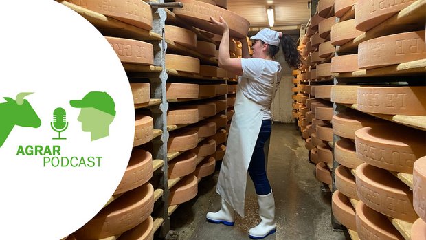 «AgrarPodcast» Episode 10: Tierschutz auf dem Ballenberg und eine Frau im Käsekeller Milchtechnologin Daniela Weber möchte ein Vorbild sein für junge Frauen, die sich in einem «Männerberuf» betätigen wollen. (Bild Sera Hostettler)
