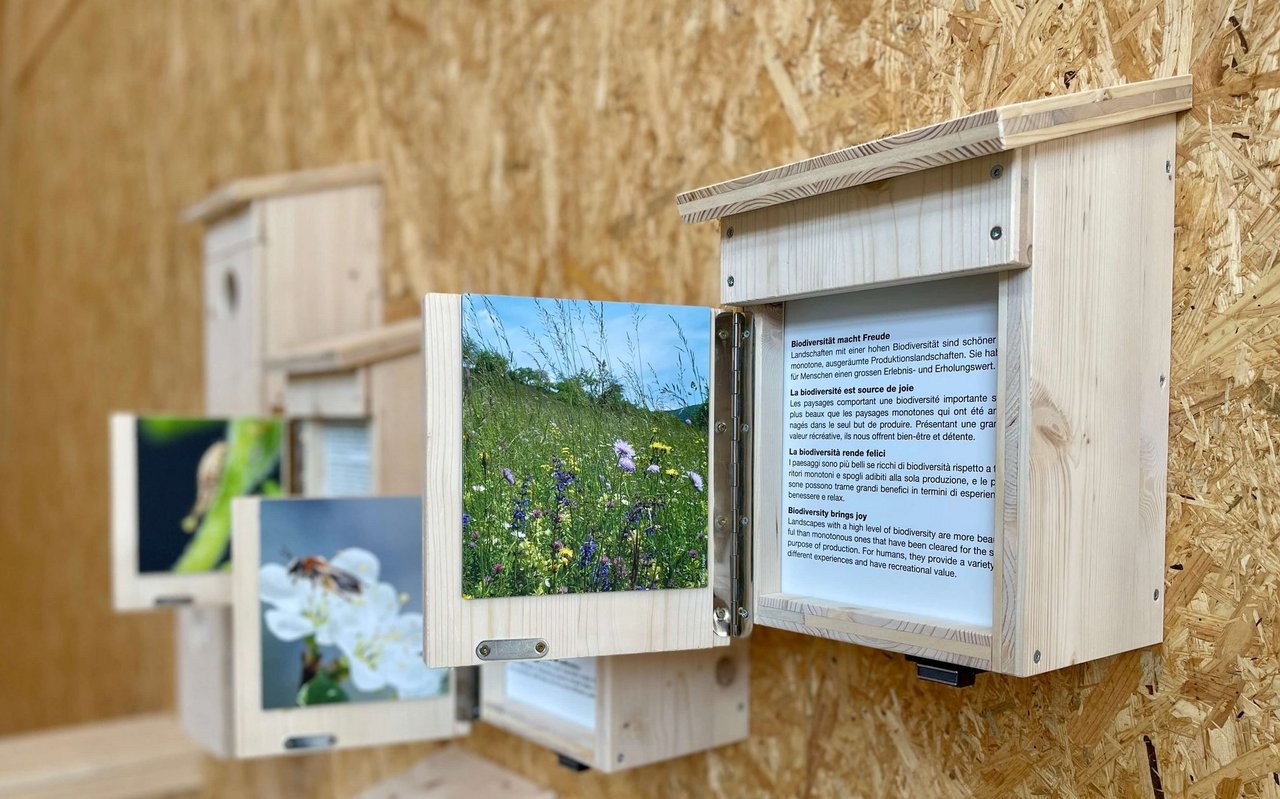 In Nistkästen verstecken sich Informationen zur Biodiversität.