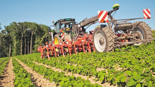 Row Chipper: Geräteträger für Hackgeräte gegen Abdrift in Hanglagen Reihenhacken am Hang ist wegen der Abdrift kaum möglich. Der Geräteträger lenkt dagegen und kompensiert die Abdrift. Bild: Martina Rüegger