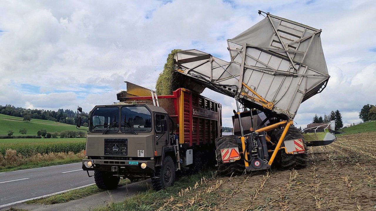 Dank dem Überlad am Feldrand müssendie Transportfahrzeuge nicht auch im Feld fahren. Den Saurer 10 DM hat Markus Bucher ebenfalls optimiert. Er hat ihm eine zusätzliche Achse verpasst und der Lastwagen verfügt über verschiedene Lenkungsarten. Bild: Martina Rüegger