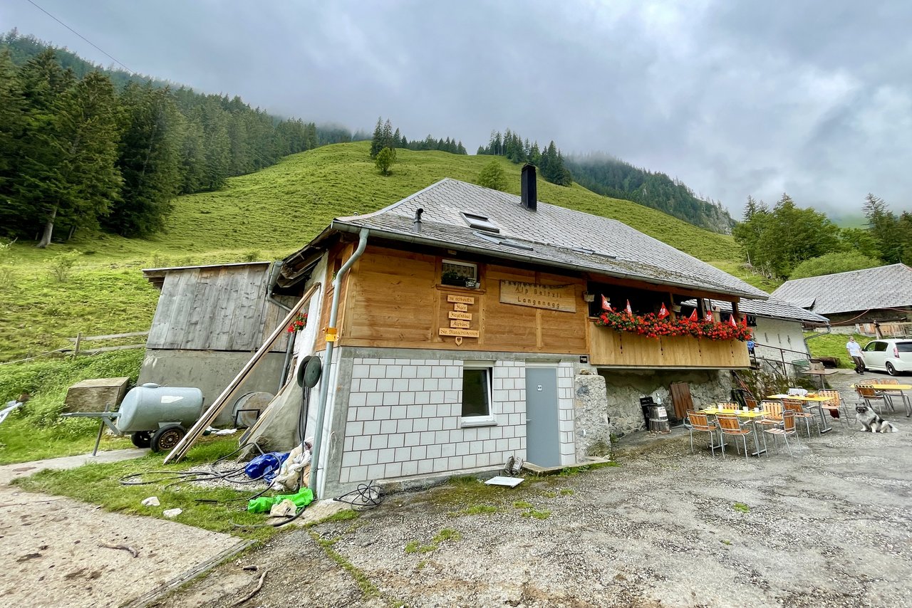 Die Alp Langenegg liegt auf 1200 bis 1500 m ü. M. auf der Nordseite des Stockhorns in einem Tal mit steilen Hängen. (Bild: Jürg Vollmer / «die grüne»)