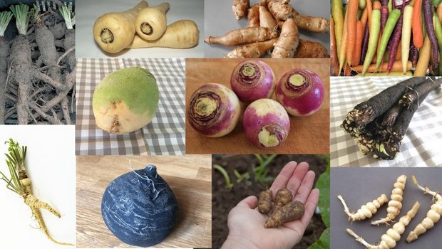 Scharf, Süsslich, nussig, aromatisch: Der Gemüse-Winter muss nicht langweilig sein. (Bildautoren siehe Text, Montage jsc)