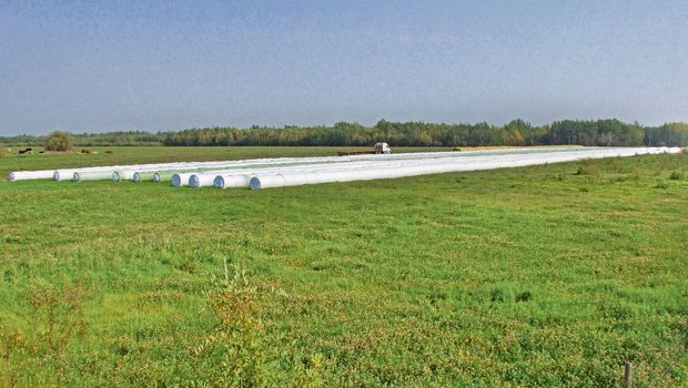 Familie Ruckstuhl und die Crew haben wacker gearbeitet. Das Heuen war wegen des schlechten Wetters schwierig, aber es konnten knapp 2500 Siloballen und rund 500 Gersten-Strohballen gemacht werden.